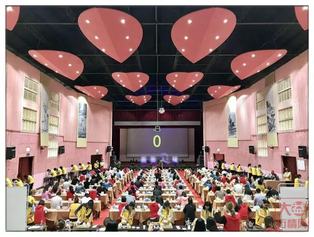 据说，很多人最近反反复复地在喝这十款大益茶？