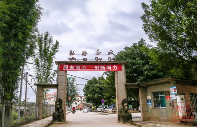 勐海茶厂“茶源朝圣之旅”火爆，趁着暑期快来打卡吧！