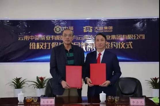 大益中茶联合打假，微肃市场，绝不妥协！