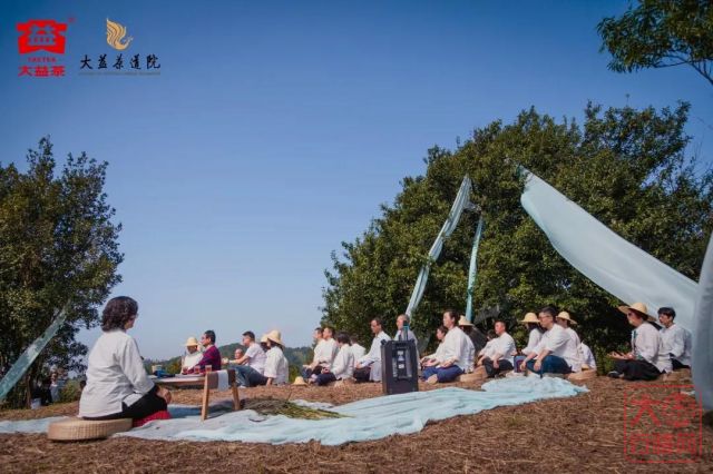 招生进行中 | 大益“静修营”全面升级 多重精修课程6月踏歌而来