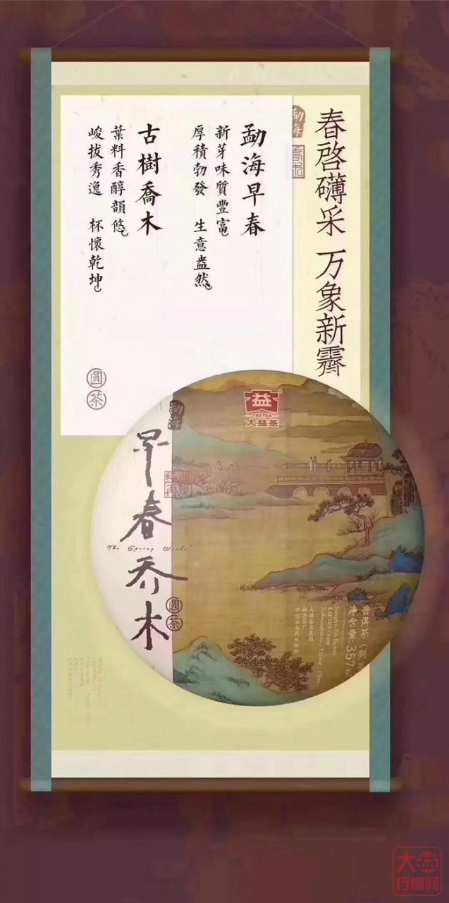 品鉴「勐海早春乔木圆茶」| 一杯熟普，不负重阳！