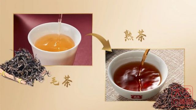 藏不住了!大益熟茶有口皆碑的关键就是它