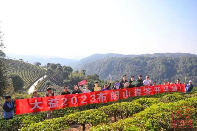 大益春茶开采，5名球星献出与普洱茶亲密的N个第一次