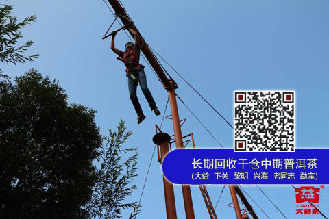大益集团员工团队建设活动精彩开展