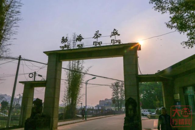 大益茶收藏的突破口,你一定想不到会是它!