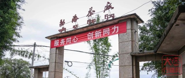 消除市场恐慌情绪?当下最应打出的两张牌