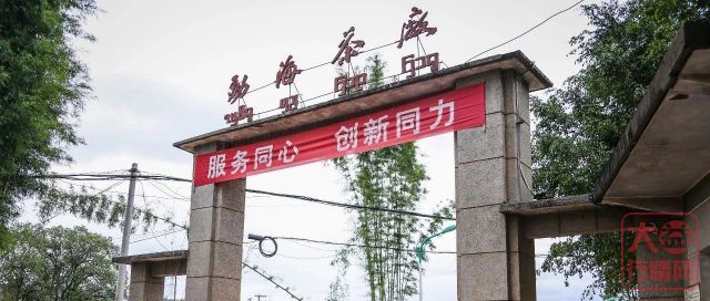 消除市场恐慌情绪？当下最应打出的两张牌