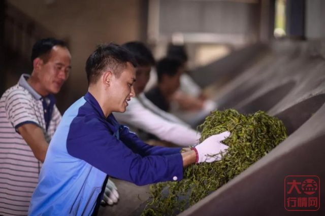 大益茶的尴尬:三款啼笑皆非的大益茶