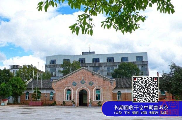 “大益”树立行业标杆 对话大益馆馆长吴坤雄