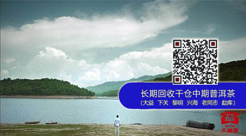 大益强势重返央视，品牌推广再创辉煌