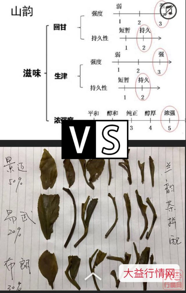 六月市场行情回顾 两韵对决!
