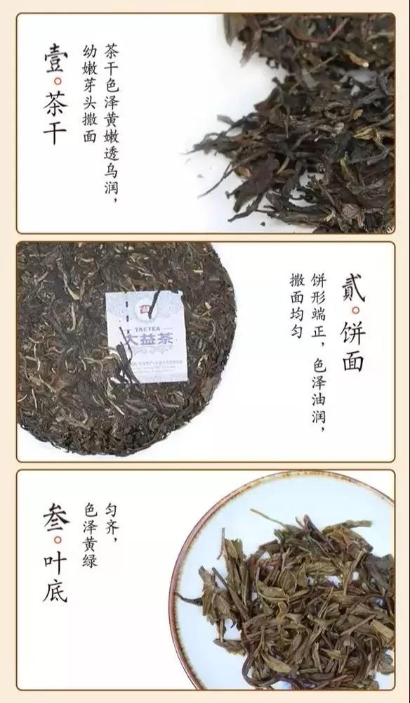 据说,很多人最近反反复复地在喝这十款大益茶?