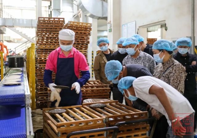 大益原料供应：绿色生态为基准，把好原料第一关