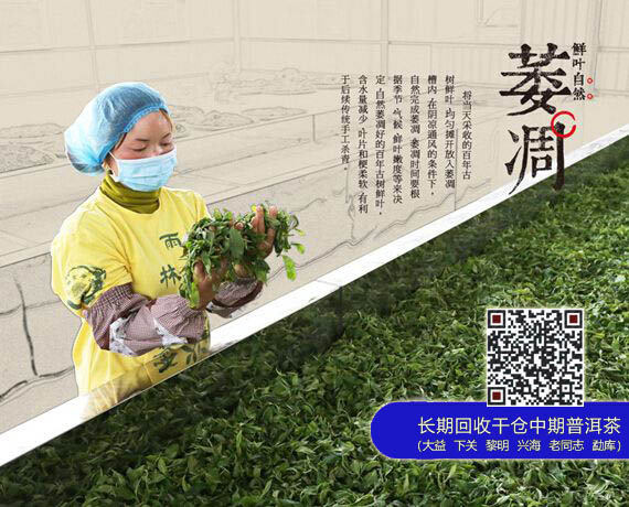雨林和大益是一山中的二虎吗？