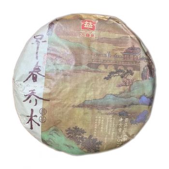 1801 早春乔木熟普洱茶价格￥1.2万